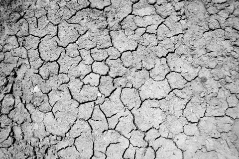 Natural texture Stock Photos