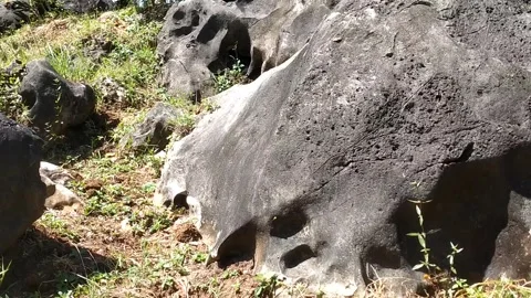 The Natural Texture of Rocky Cliffs Stock Footage 331192293