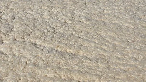 Natural Texture of Sandy Beach Captured Under Bright Sunlight Stock Footage 345427102