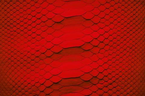 Natural texture with snake skin pattern, red background 스톡 사진