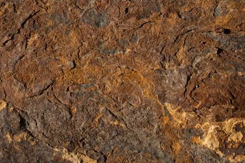 Natural textures, abstract background. High quality photo. Organic matter in Stock Photos