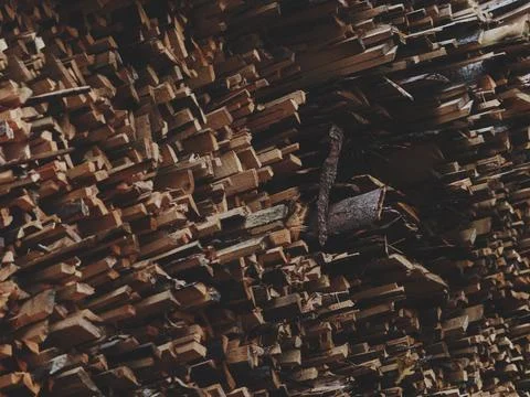 Natural Timber Stack in Warm Light Stock Photos