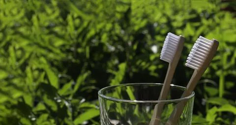 Natural toothbrushes Stock Photos