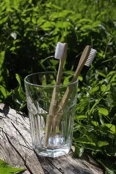 Natural toothbrushes Stock Photos
