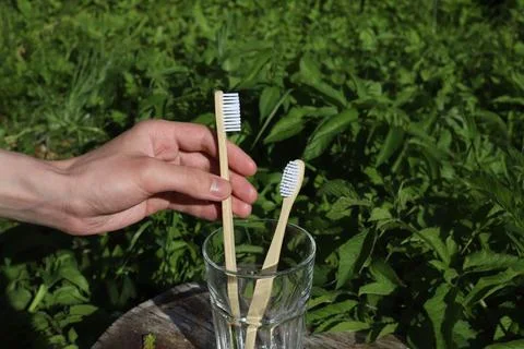 Natural toothbrushes Stock Photos
