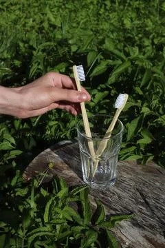 Natural toothbrushes Stock Photos