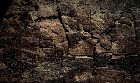 Natural tree bark, background, texture. Foto stock