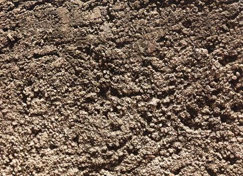 Natural Tree Bark Texture with Rugged Weathered Surface Fotos Stock