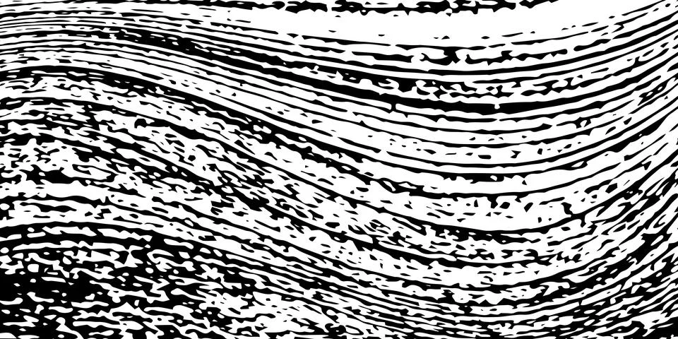 Natural tree bark texture set, black and white wood surface patterns, organ.. Ilustración de archivo