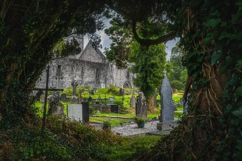 Natural tree frame with a view on graveyard and old ruins of Muckross Abbey Stock Photos