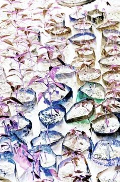 Natural tree leaf background captured from nature Stock Photos