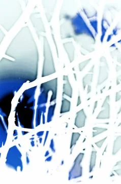 Natural tree leaf background captured from nature Stock Photos