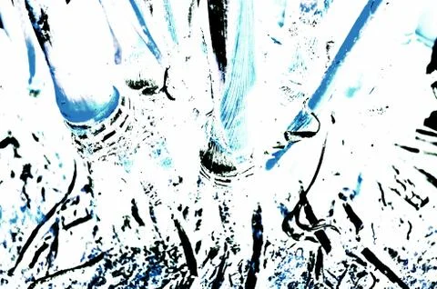 Natural tree leaf background captured from nature Stock Photos