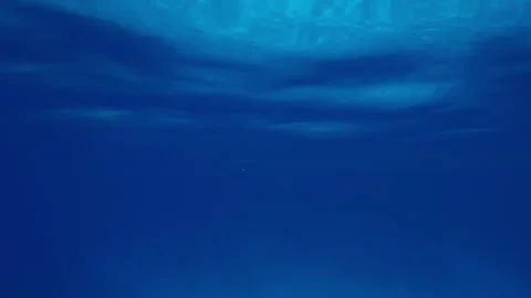 Natural underwater blue background of below water surface at calm time Stock Footage 339969363