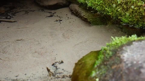 Natural underwater spring bubbling through sand in a crystal clear creek Stock Footage 328788162