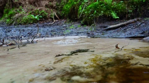 Natural underwater spring bubbling through sand in a crystal clear creek Stock Footage 328788193