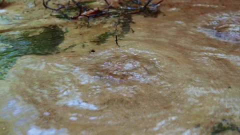 Natural underwater spring bubbling through sand in a crystal clear creek Stock Footage 328788223