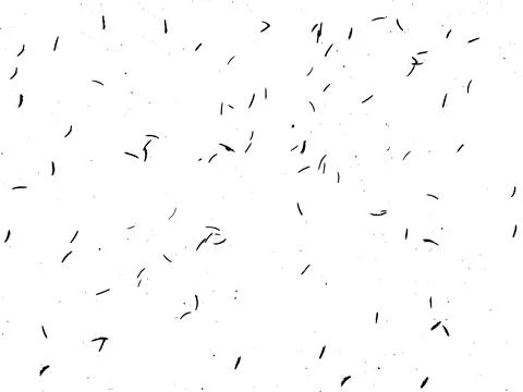 Natural vector abstract grunge texture of spruce thorns on snow 스톡 일러스트