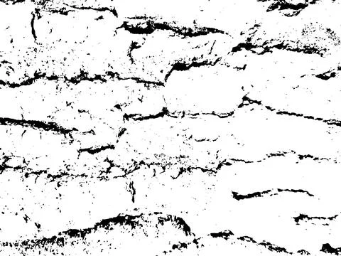 Natural vector abstract grunge texture of old tree bark Stock-Illustration