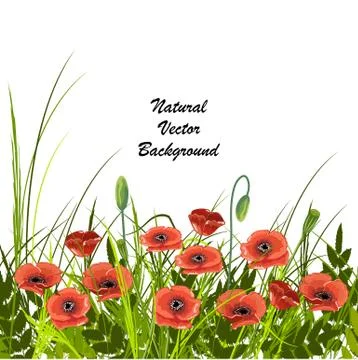 Natural vector background Stock Illustration
