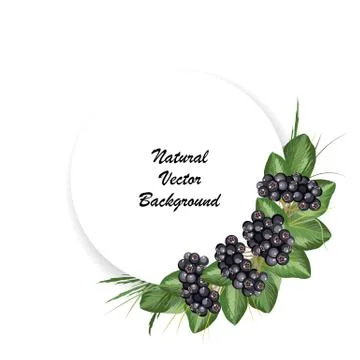 Natural vector background. Stock Illustration