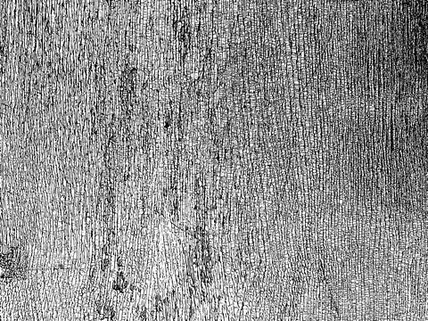 Natural vector grunge texture of old wooden board Illustrazione stock