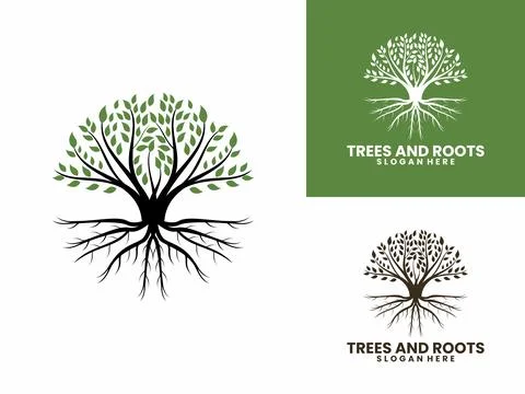 Natural Vector Tree logo vector. Tree and roots logo illustration. Tree of .. Stock Illustration