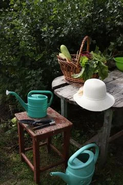 Natural vegetables Stockfoto's