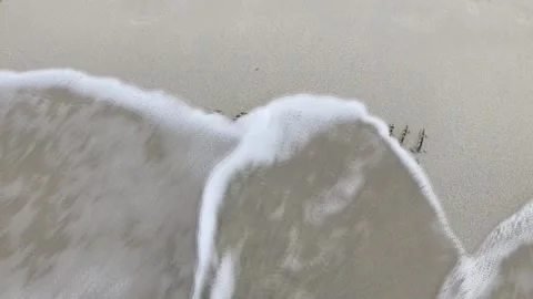 Natural video "subscribe" , Stock Footage 229051826