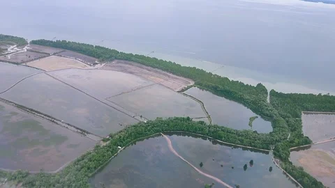 Natural view from the airplane window when the plane will land Stock Footage 242305448