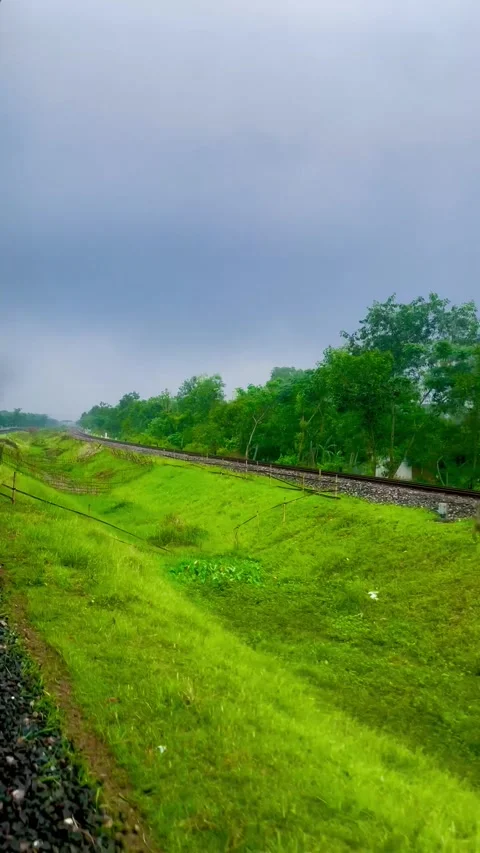The natural view of the area ahead through the open window during a train Stock Footage 334163009