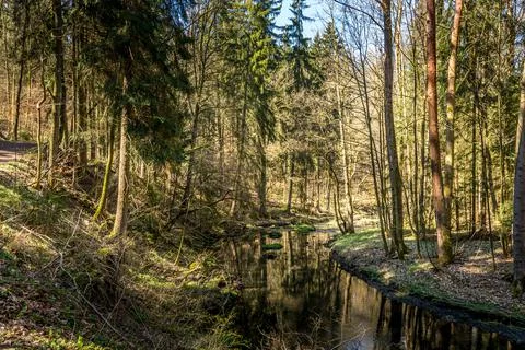 Natural view of an empty forest trail beside a river in the countryside Stock Photos