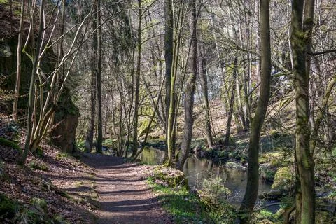 Natural view of an empty forest trail beside a river in the countryside Stock Photos