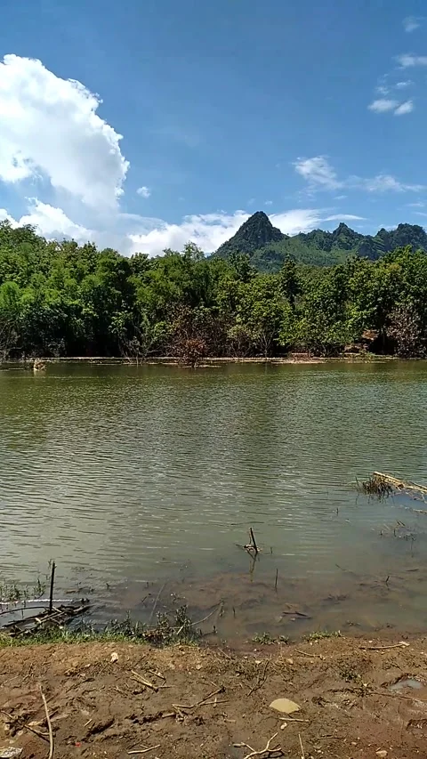 Natural view Stock Footage 168276344