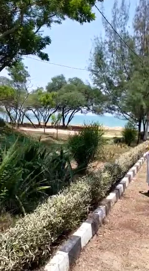 Natural view Stock Footage 168301646