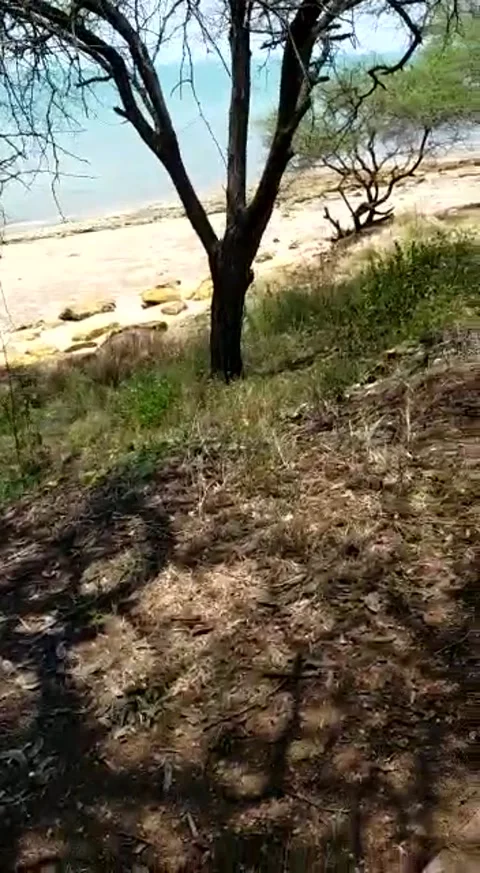 Natural view Stock Footage 168302471