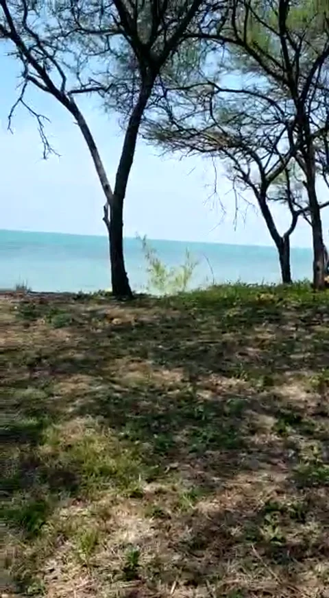 Natural view Stock Footage 168302898