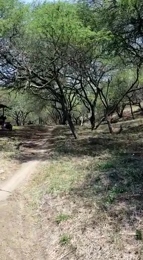 Natural view Stock Footage 168303015