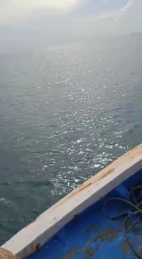 Natural view Stock Footage 168310921