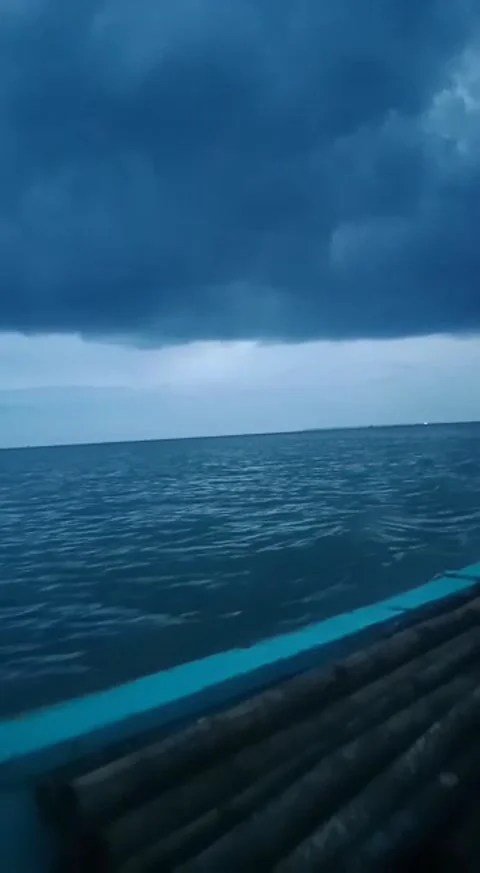 Natural view Stock Footage 168311130