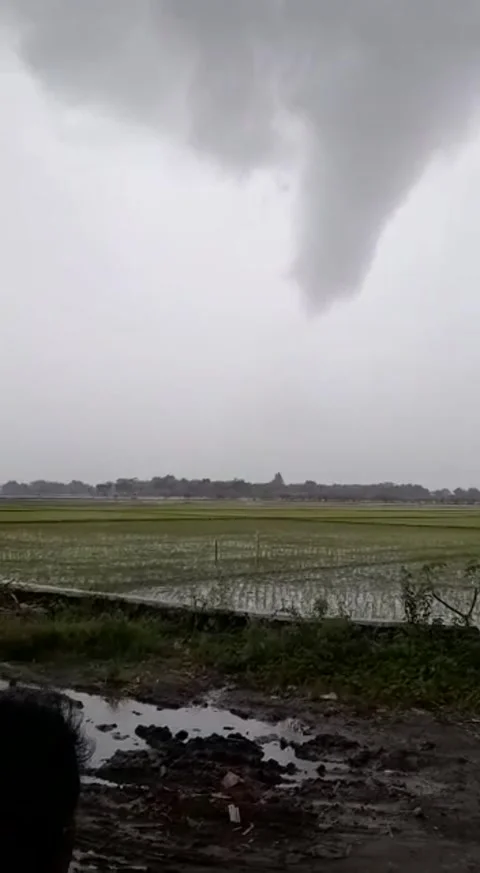 Natural view Stock Footage 168311268