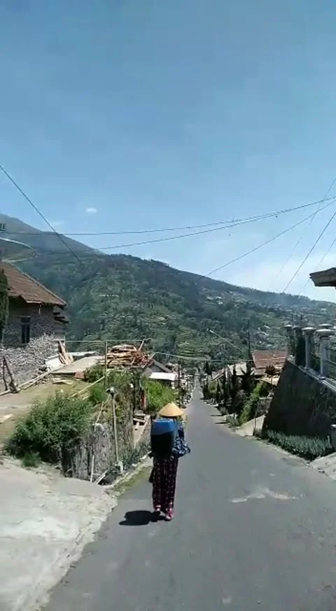 Natural view Stock Footage 168311666