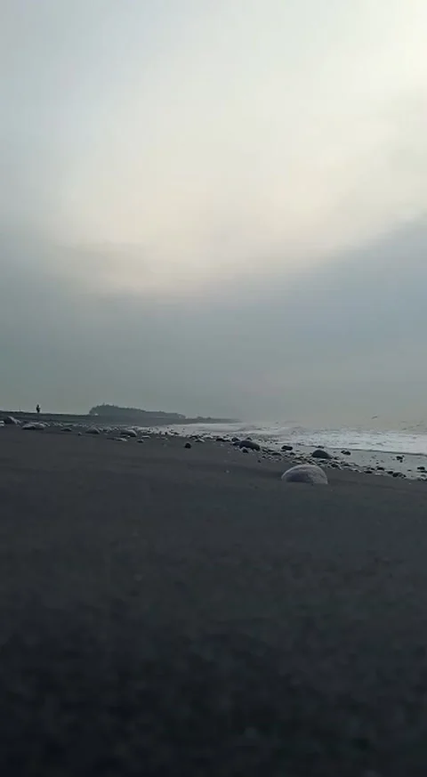 Natural view Stock Footage 168312167