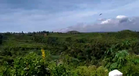 Natural view Stock Footage 168357836