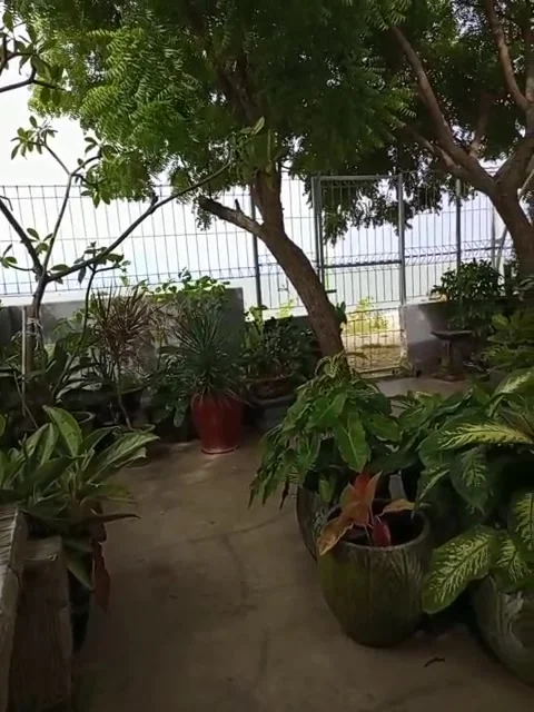 Natural view Stock Footage 168404530