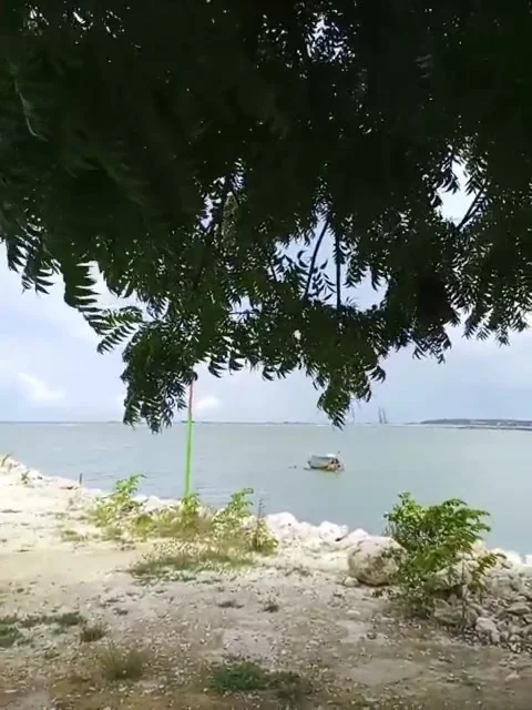 Natural view Stock Footage 168404716