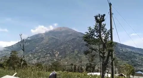 Natural view Stock Footage 168481633