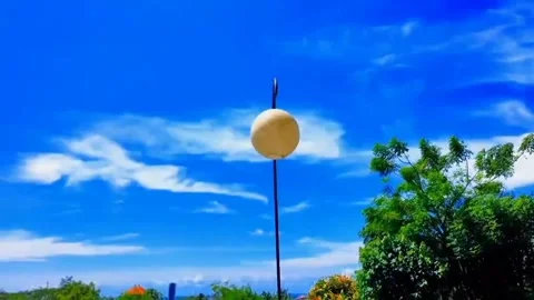 Natural view Video stock 171566578