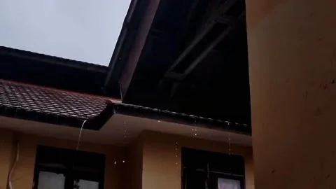 Natural view Video stock 171566603