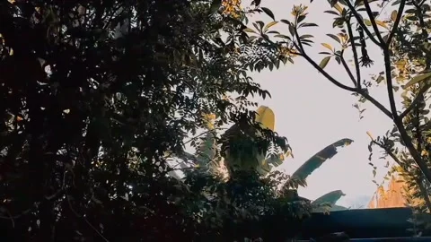 Natural view Video stock 171566620